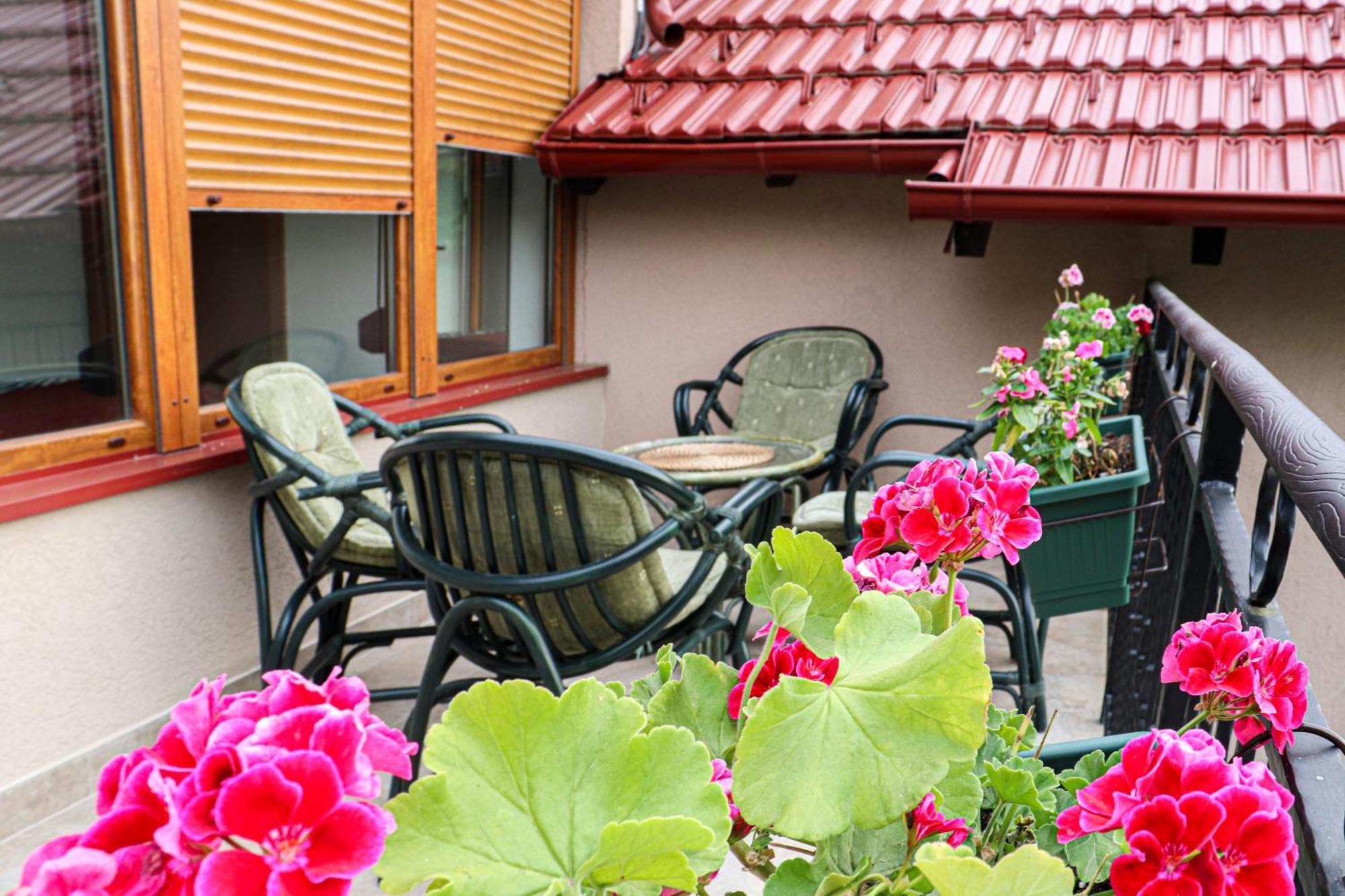 Sunset Home Vrsac Exterior photo